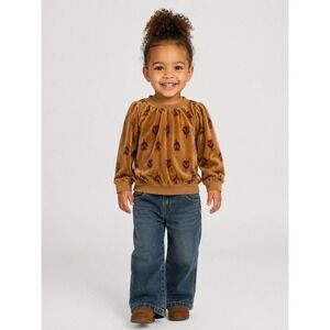 Snug Kids Brown Velour Floral Pullover Sweatshirt 24M Long Sleeve Button Back